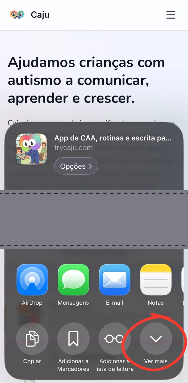 Folha de partilha do iPhone com o botão Ver mais assinalado